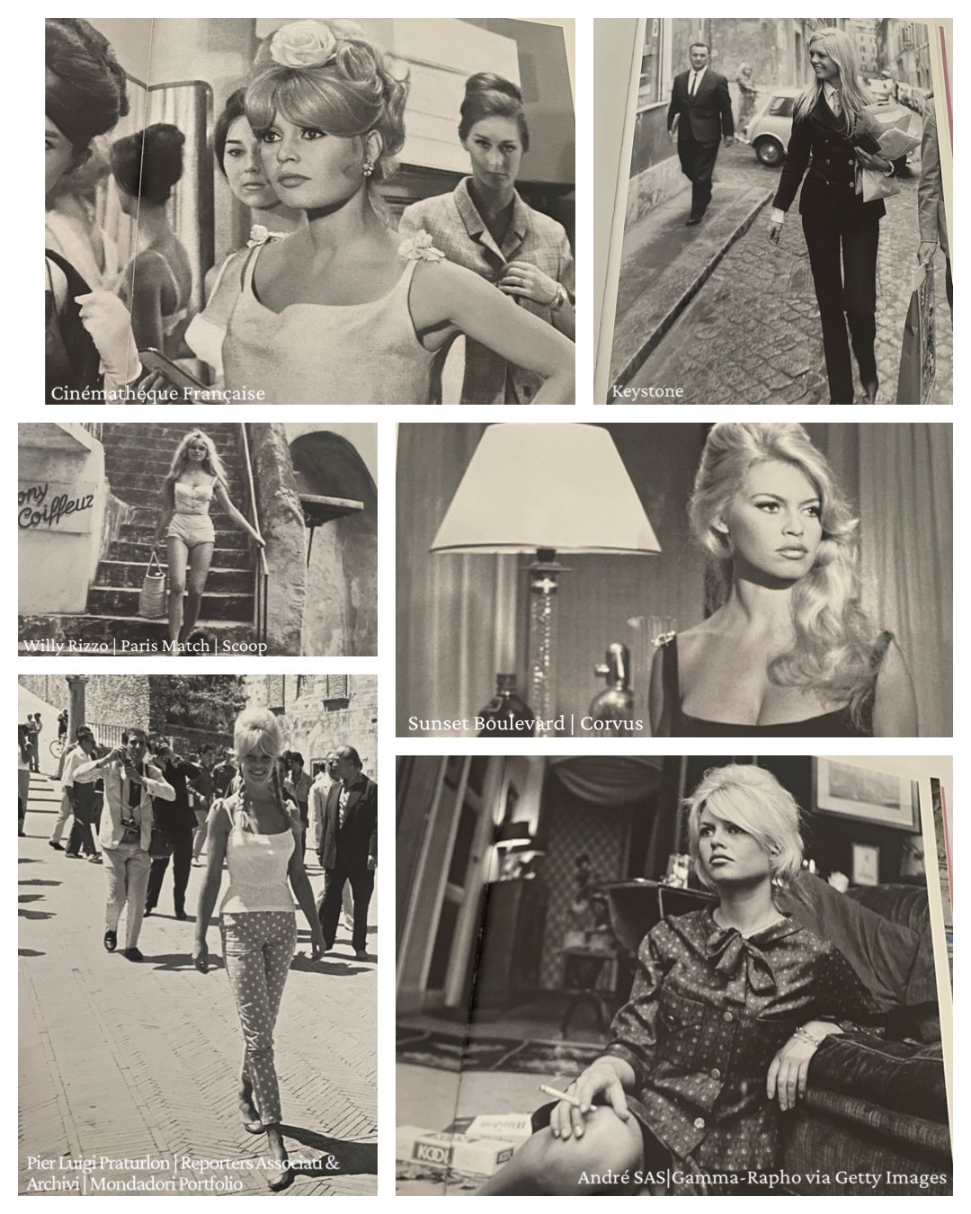 Thé Timeless Style of Brigitte Bardot